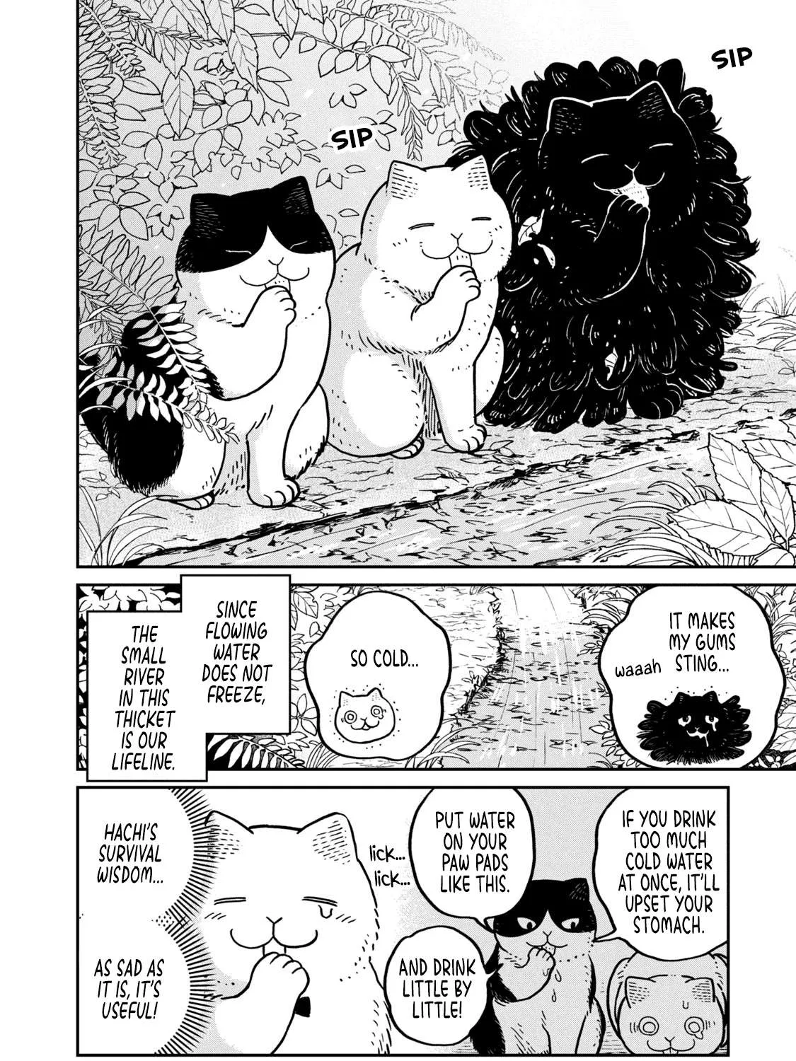 Cat Partners: Maruru And Hachi Chapter 8 page 5 - 