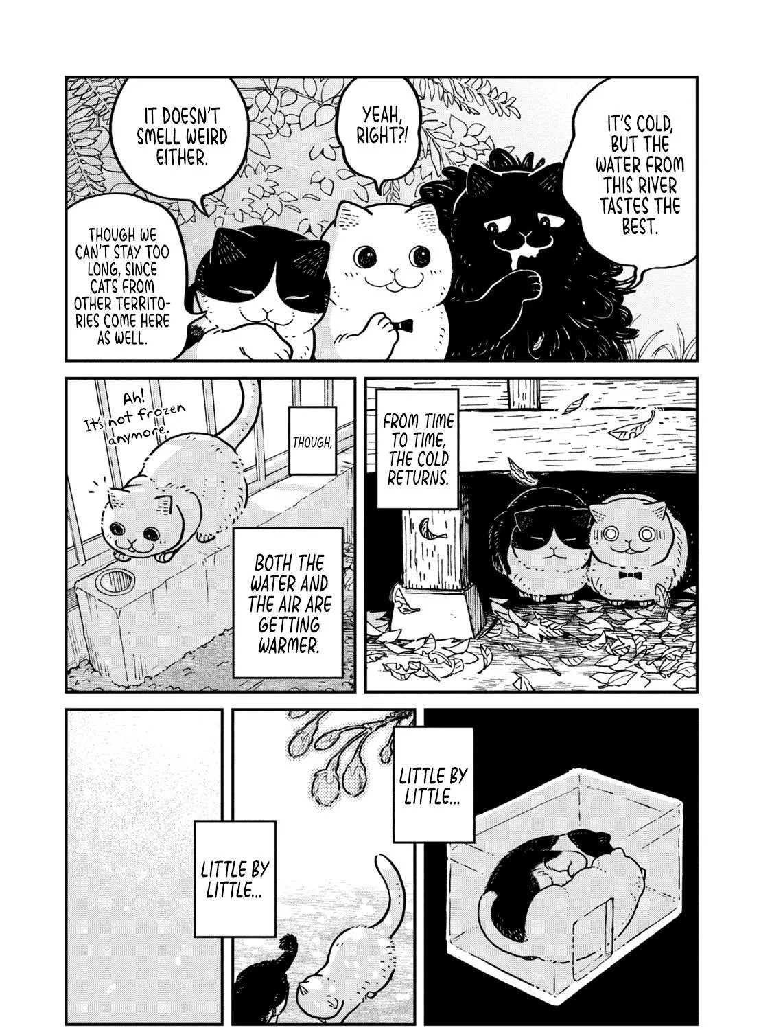 Cat Partners: Maruru And Hachi Chapter 8 page 7 - 