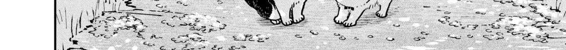 Cat Partners: Maruru And Hachi Chapter 8 page 10 - 