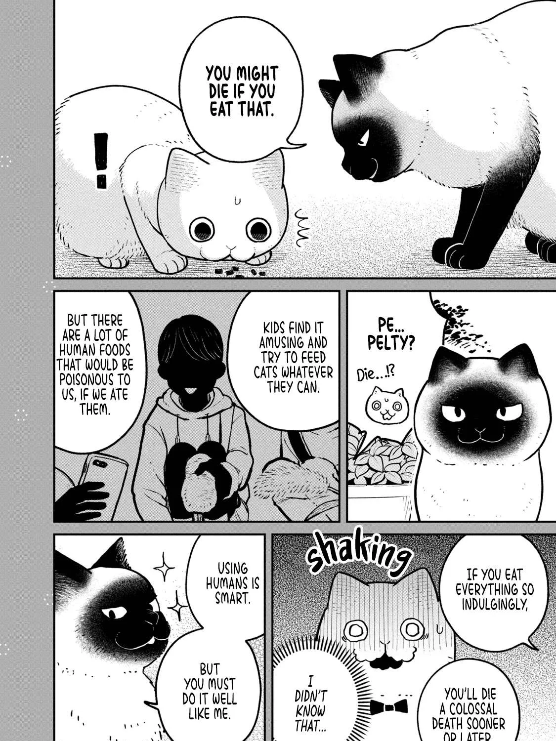 Cat Partners: Maruru And Hachi Chapter 9.2 page 4 - 