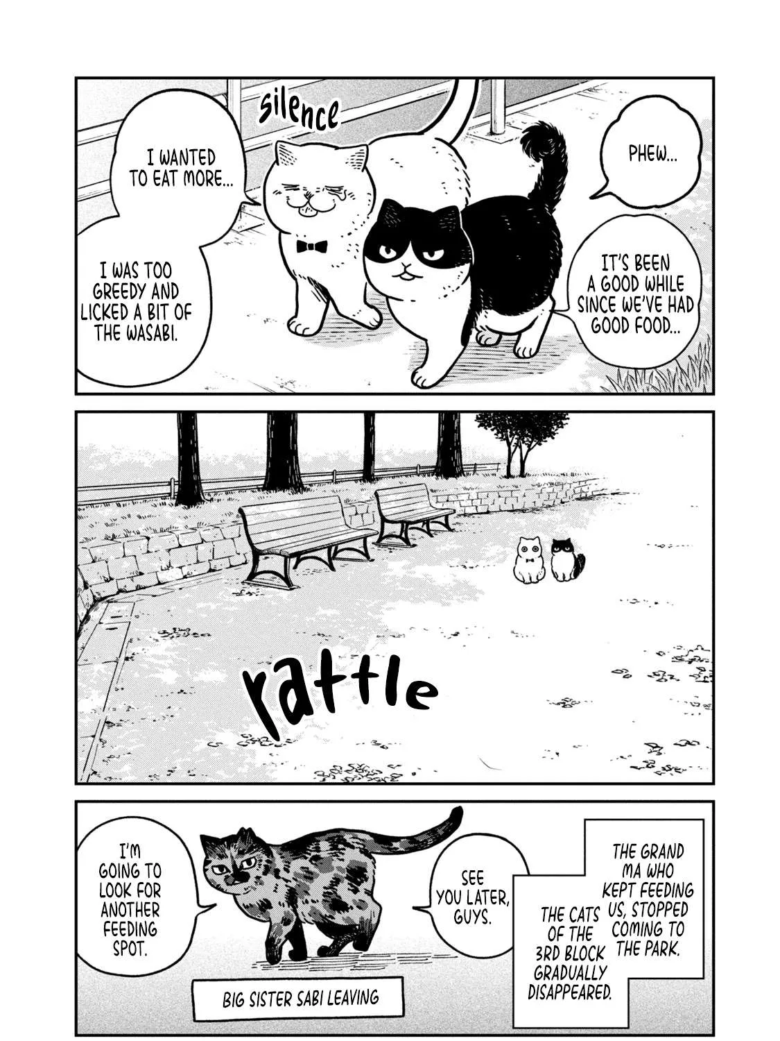 Cat Partners: Maruru And Hachi Chapter 9 page 11 - 