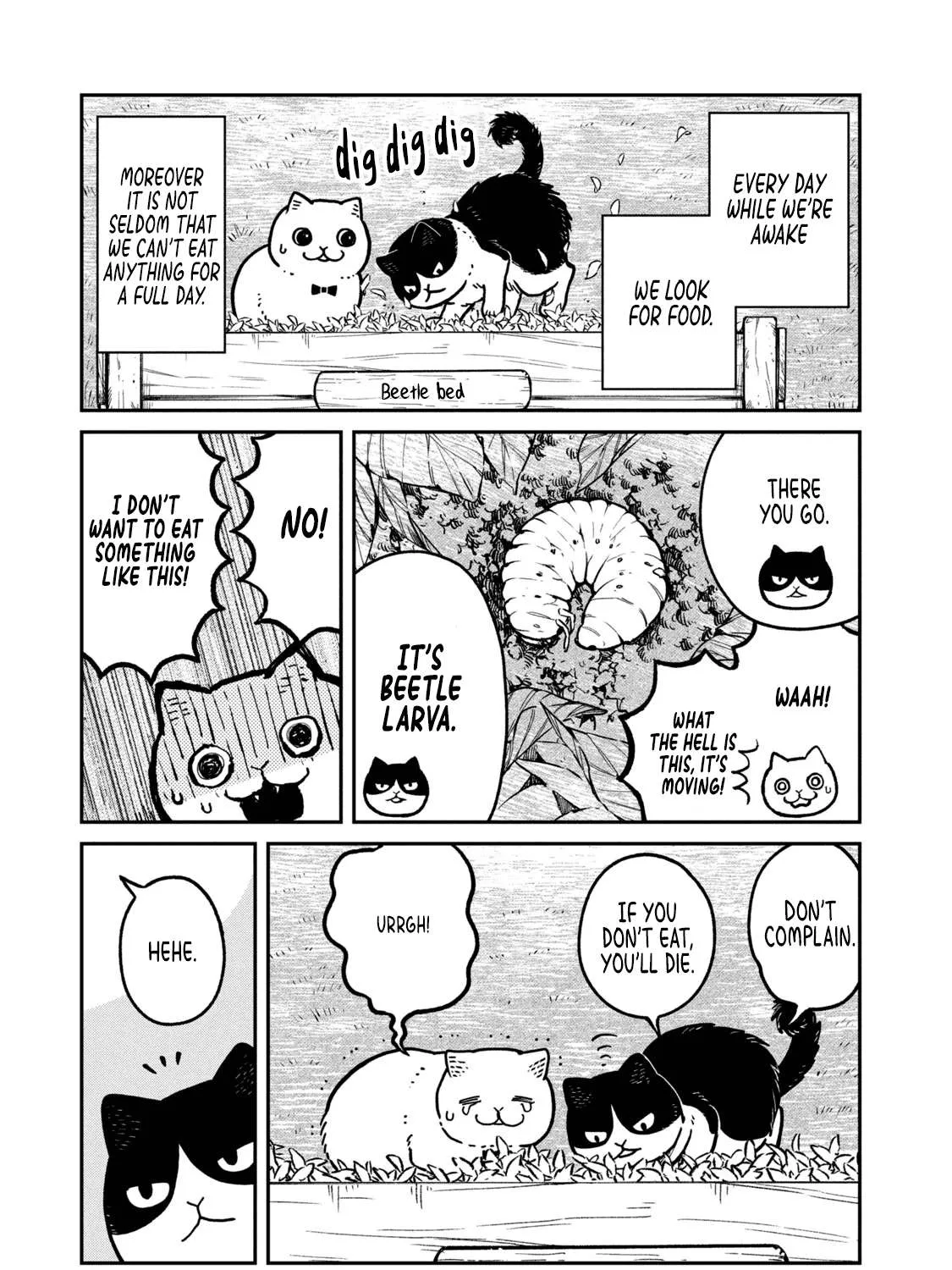 Cat Partners: Maruru And Hachi Chapter 9 page 13 - 