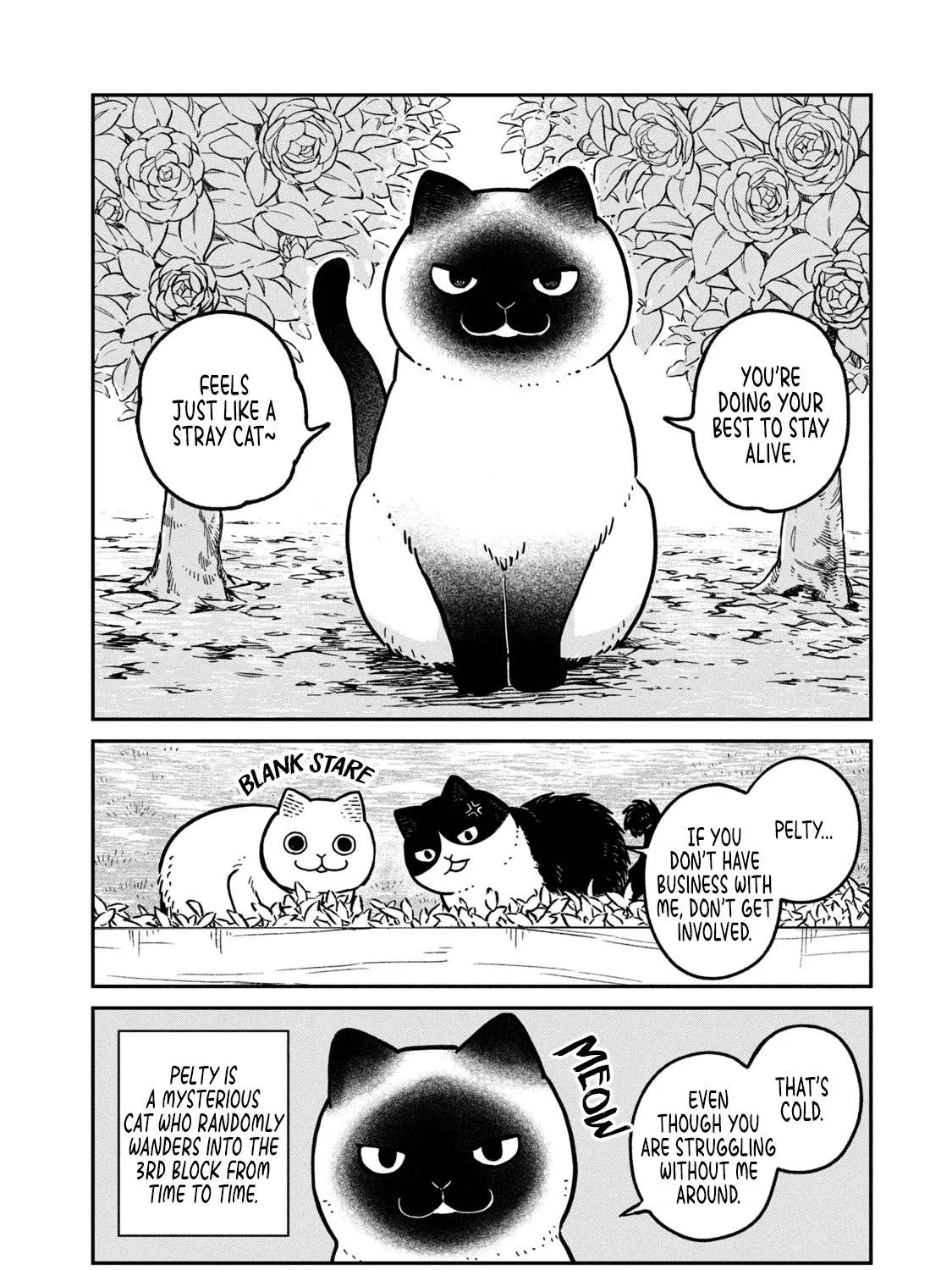 Cat Partners: Maruru And Hachi Chapter 9 page 15 - 