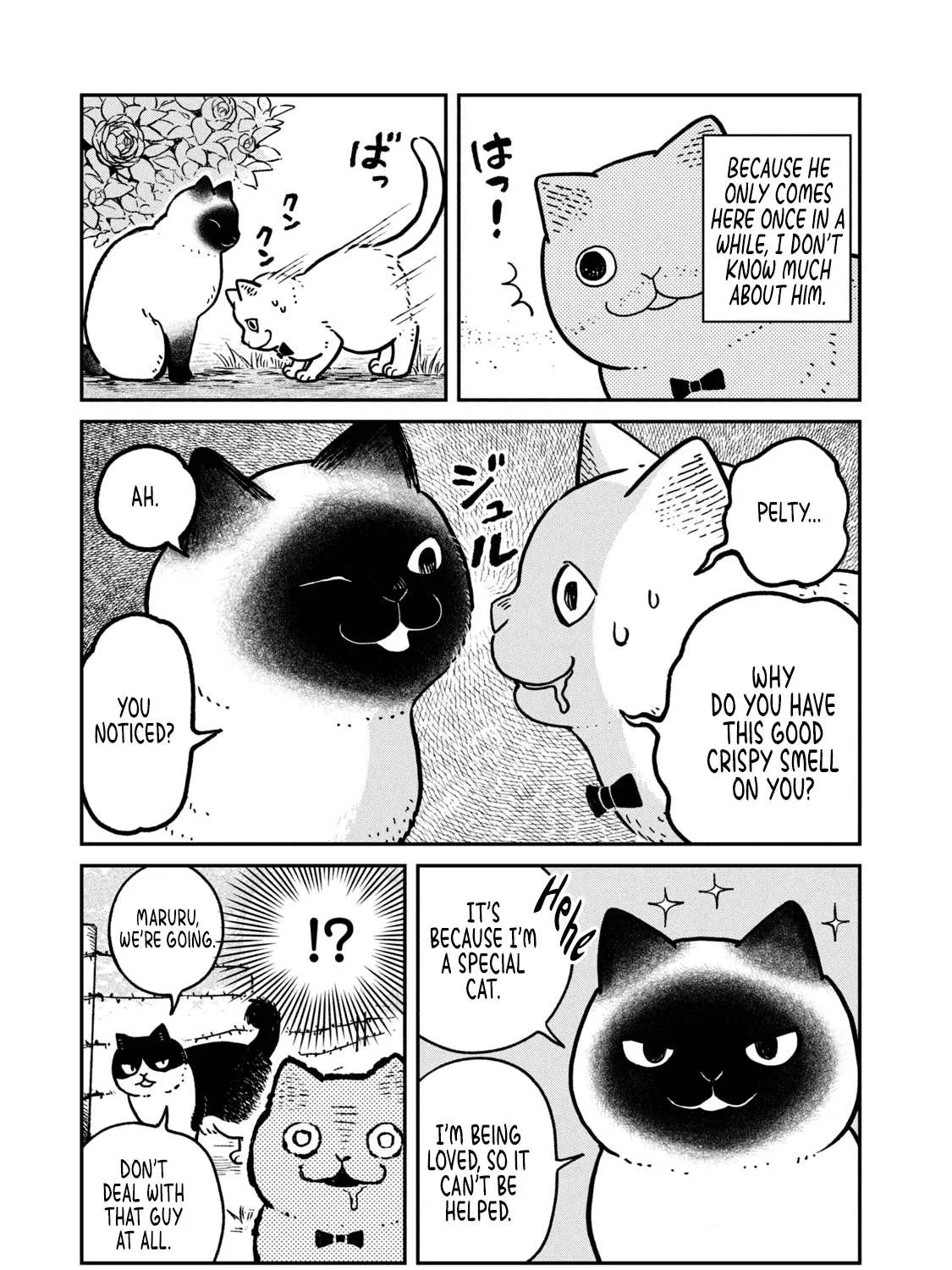 Cat Partners: Maruru And Hachi Chapter 9 page 17 - 