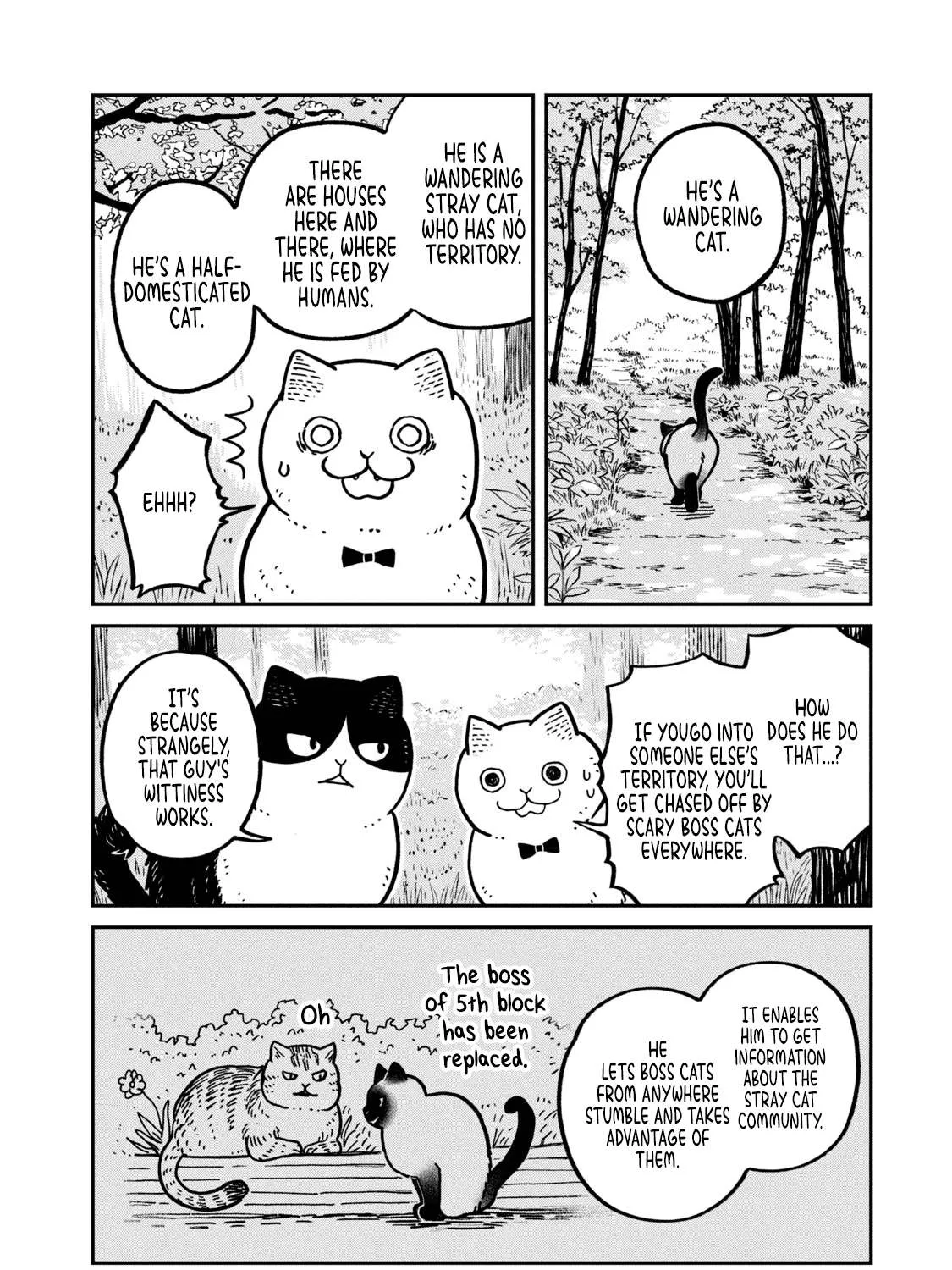 Cat Partners: Maruru And Hachi Chapter 9 page 19 - 