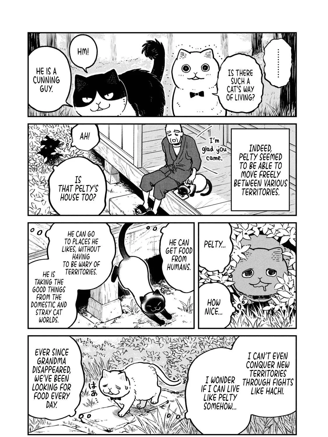 Cat Partners: Maruru And Hachi Chapter 9 page 21 - 