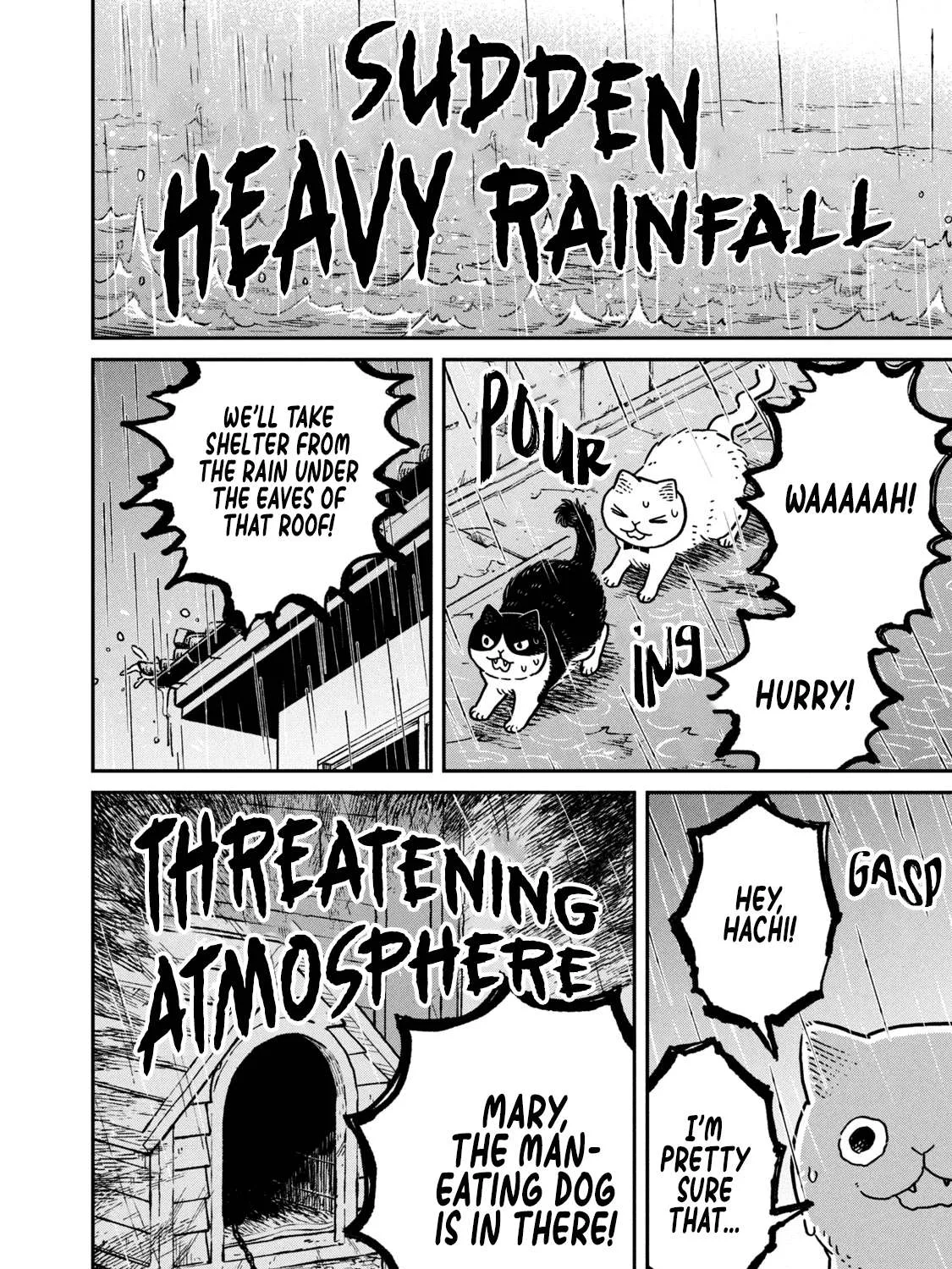 Cat Partners: Maruru And Hachi Chapter 9 page 23 - 