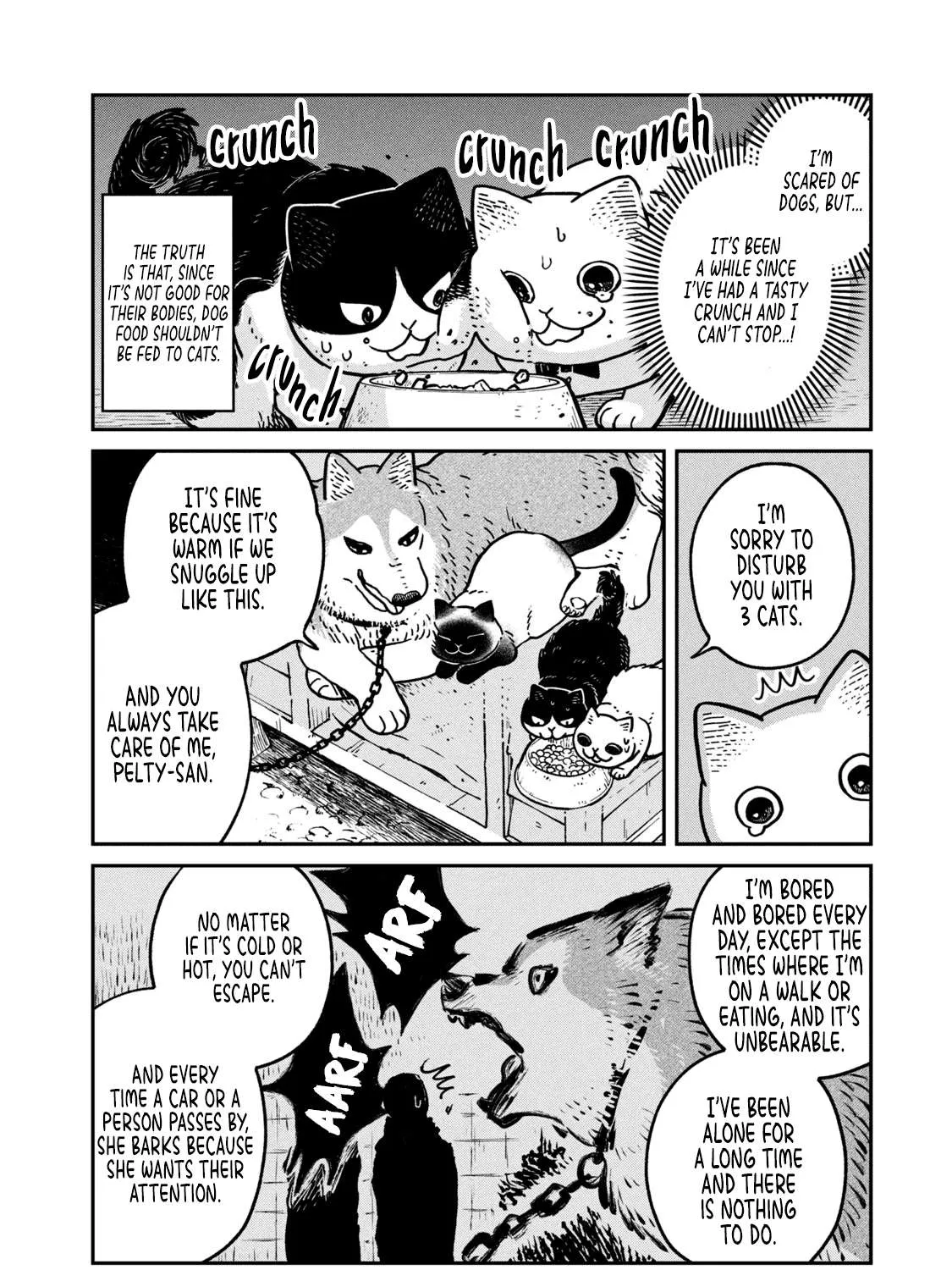Cat Partners: Maruru And Hachi Chapter 9 page 25 - 