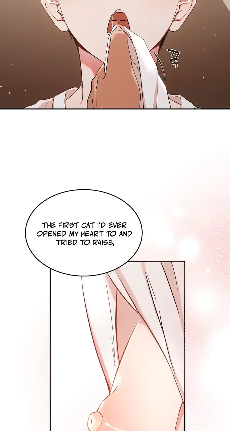 Cat Therapy Chapter 1 page 11 - 
