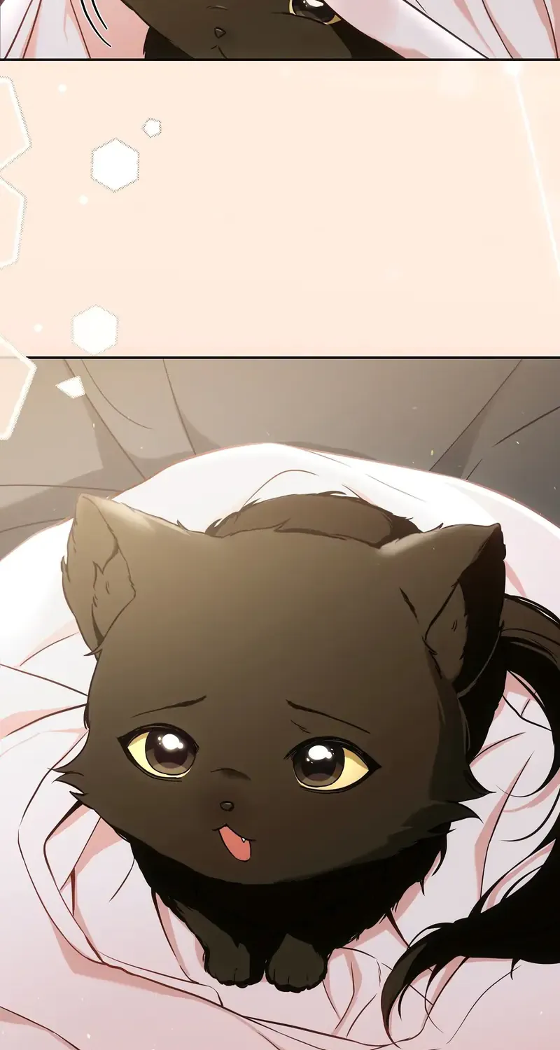 Cat Therapy Chapter 1 page 19 - 