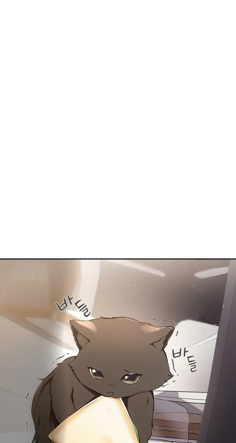 Cat Therapy Chapter 1 page 42 - 