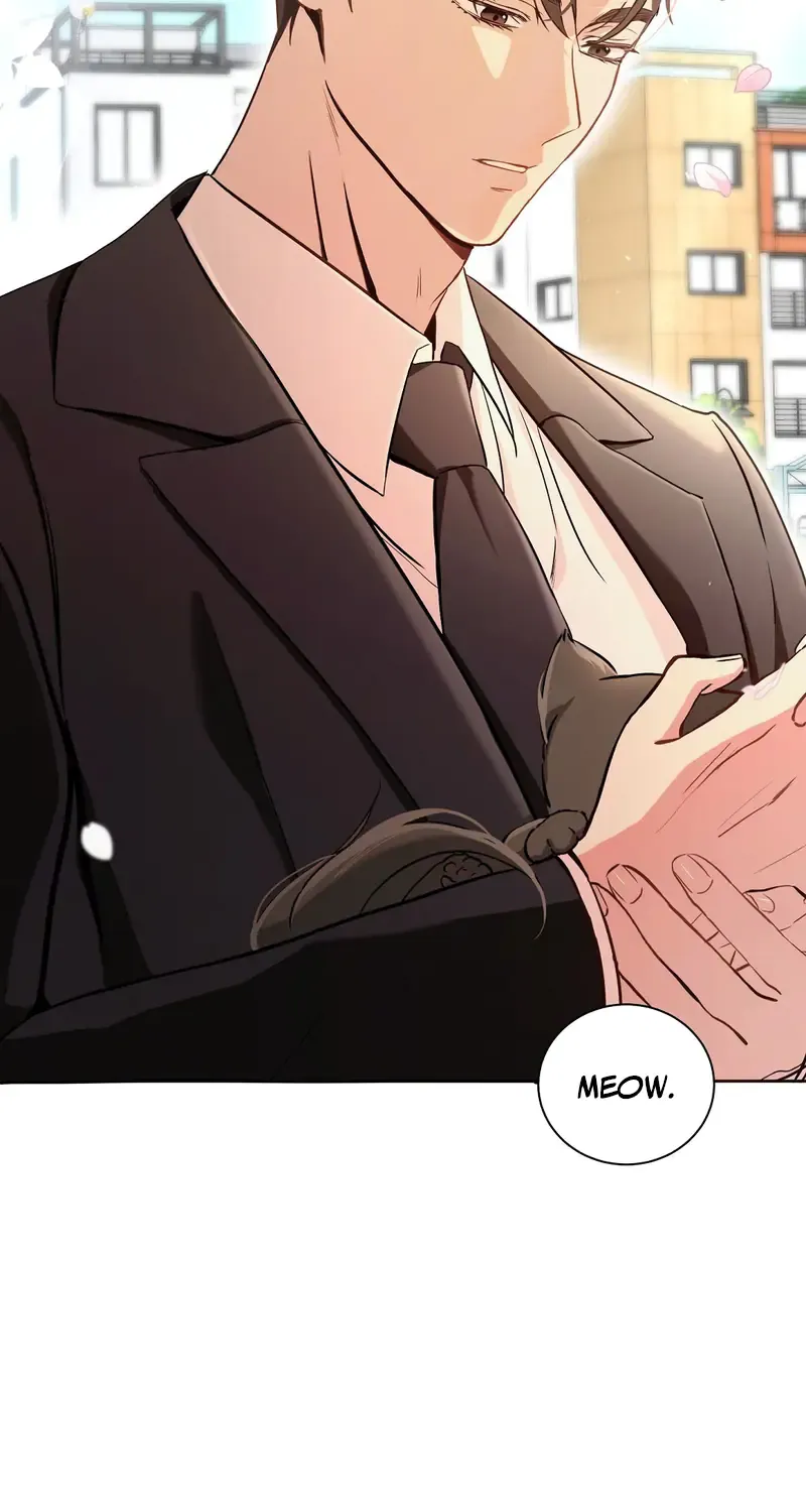 Cat Therapy Chapter 1 page 64 - 