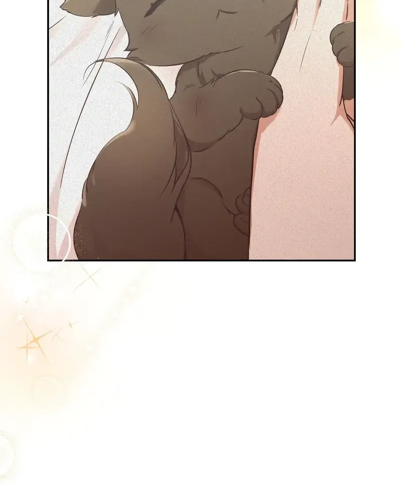 Cat Therapy Chapter 1 page 82 - 