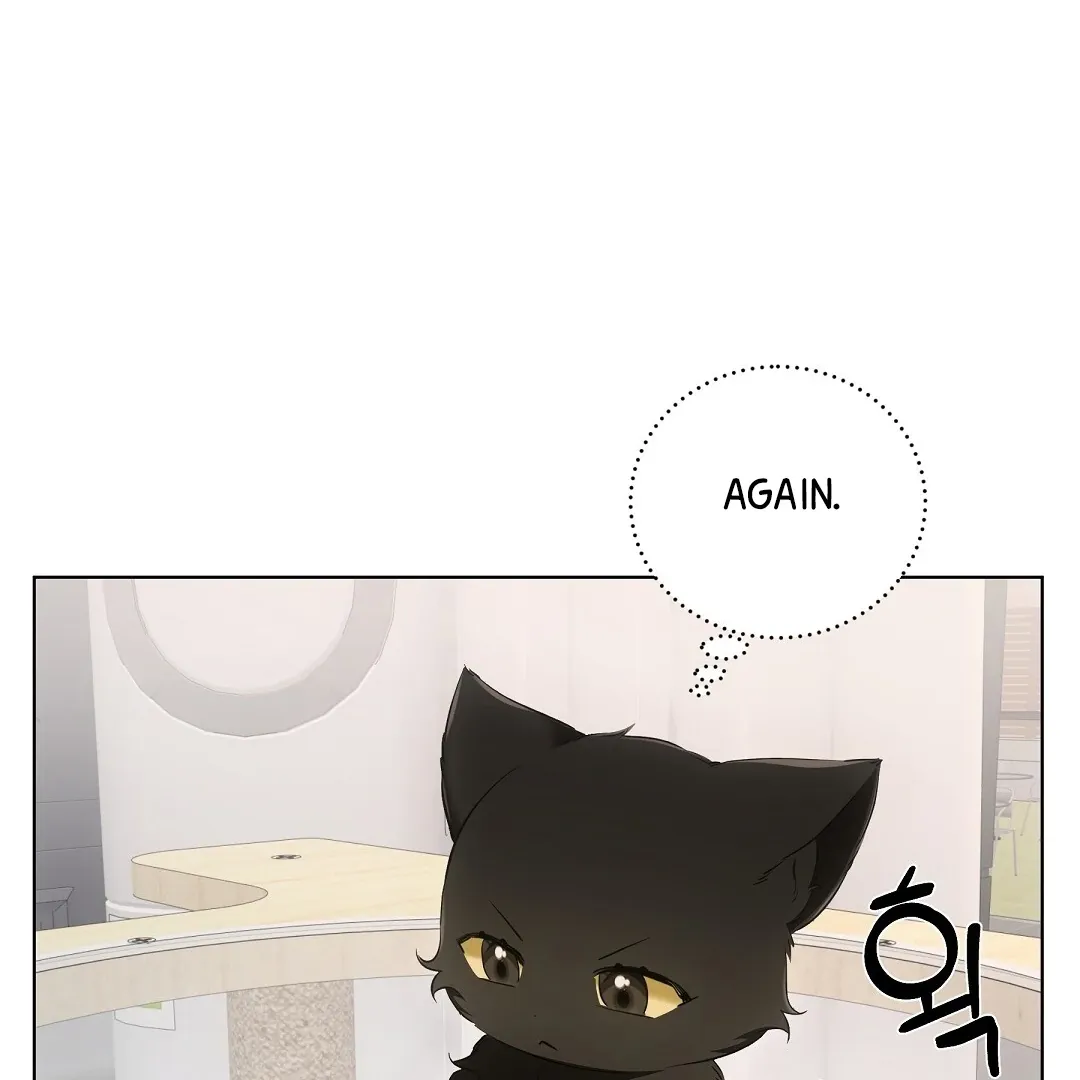 Cat Therapy Chapter 10 page 114 - 