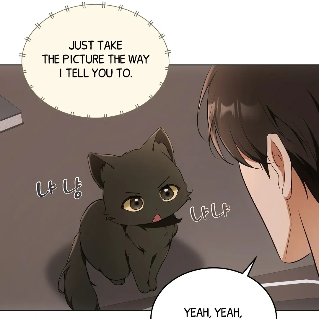 Cat Therapy Chapter 10 page 36 - 
