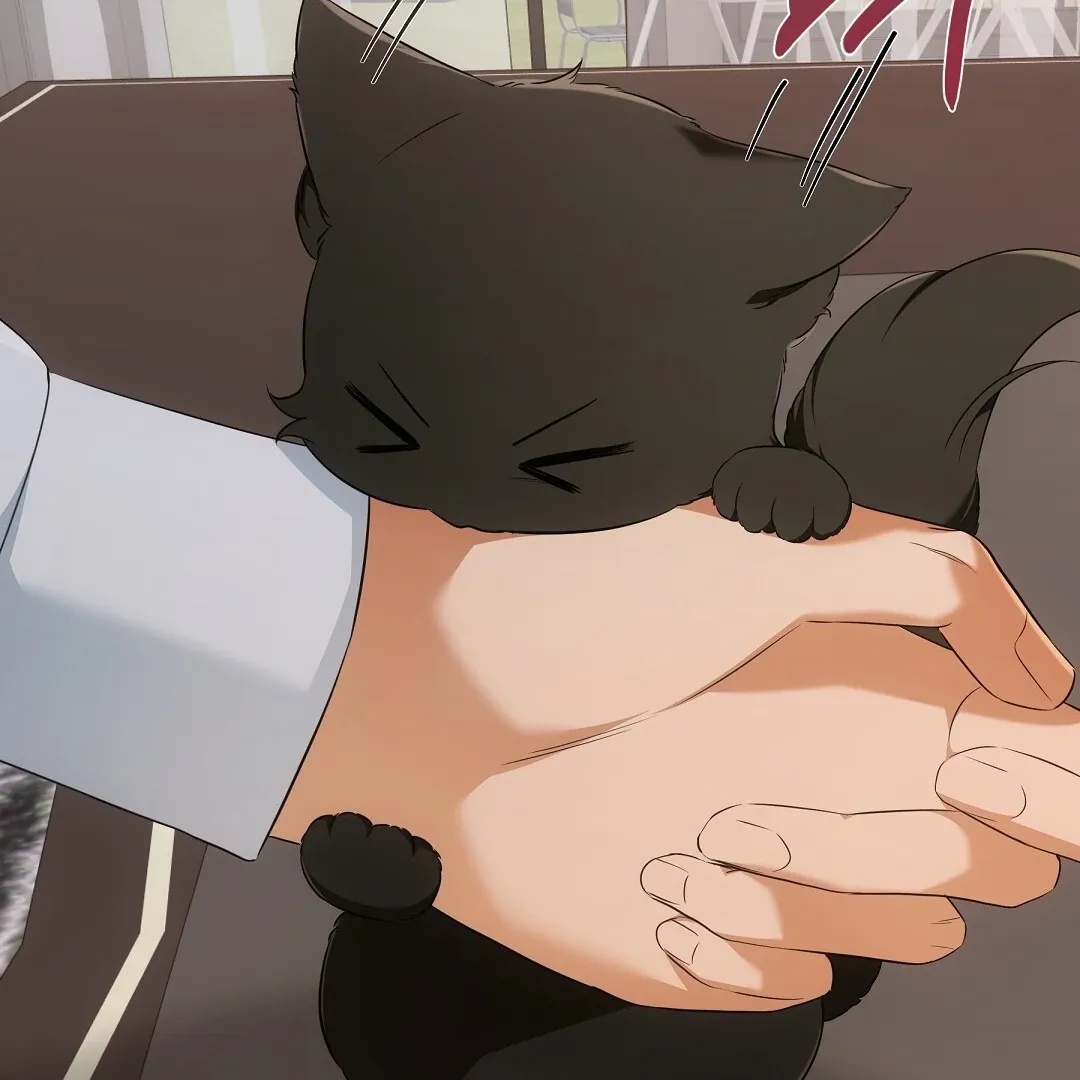 Cat Therapy Chapter 10 page 41 - 