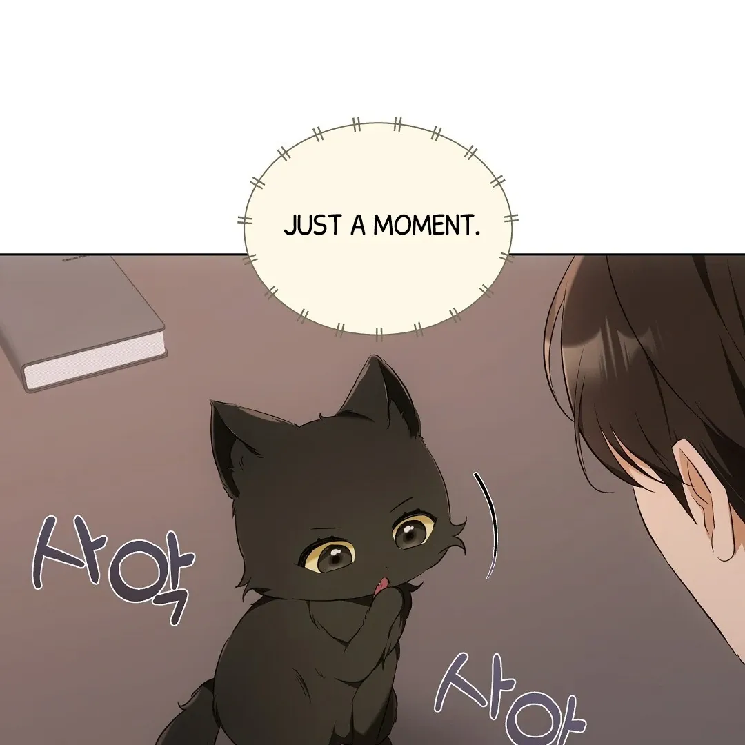 Cat Therapy Chapter 10 page 49 - 