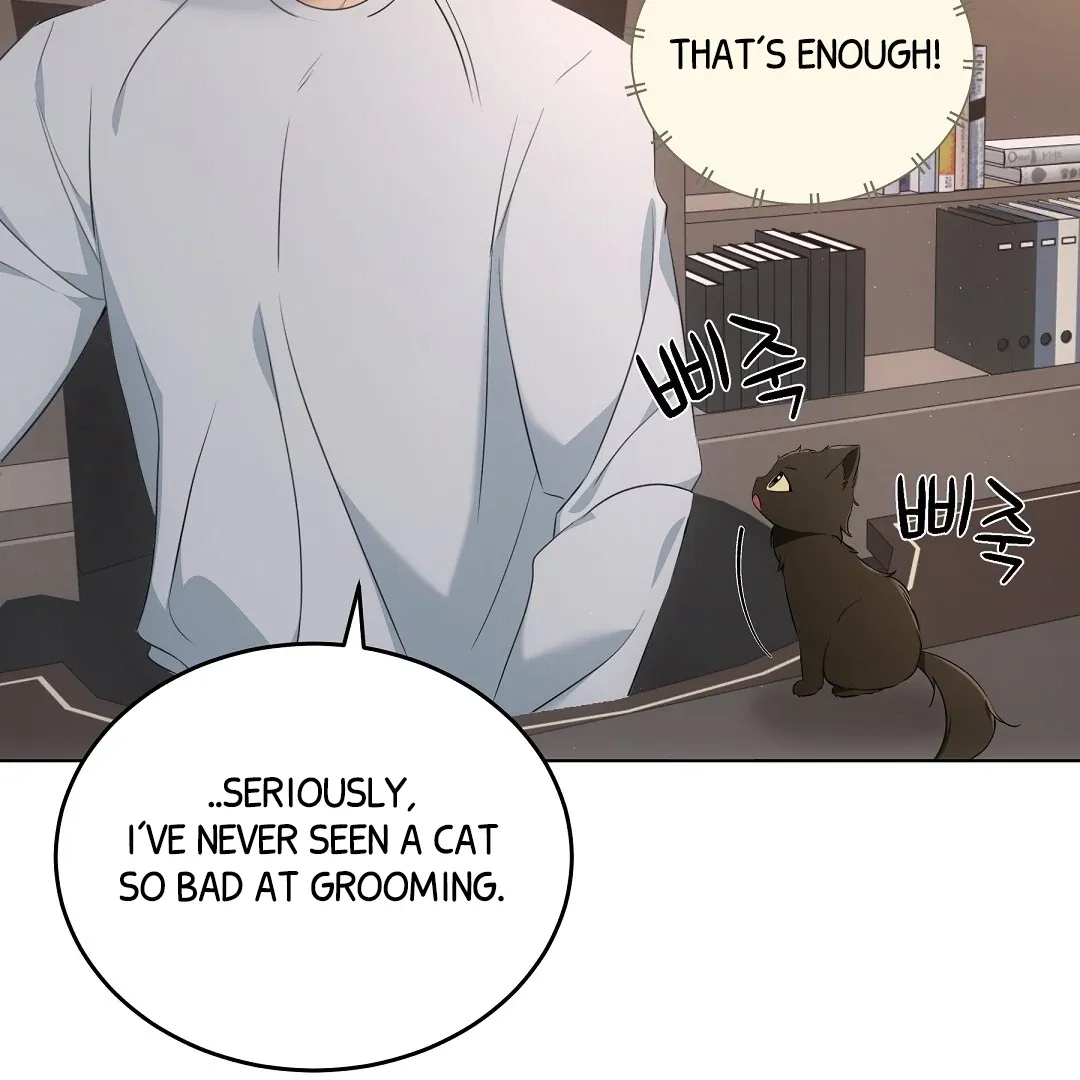 Cat Therapy Chapter 10 page 55 - 