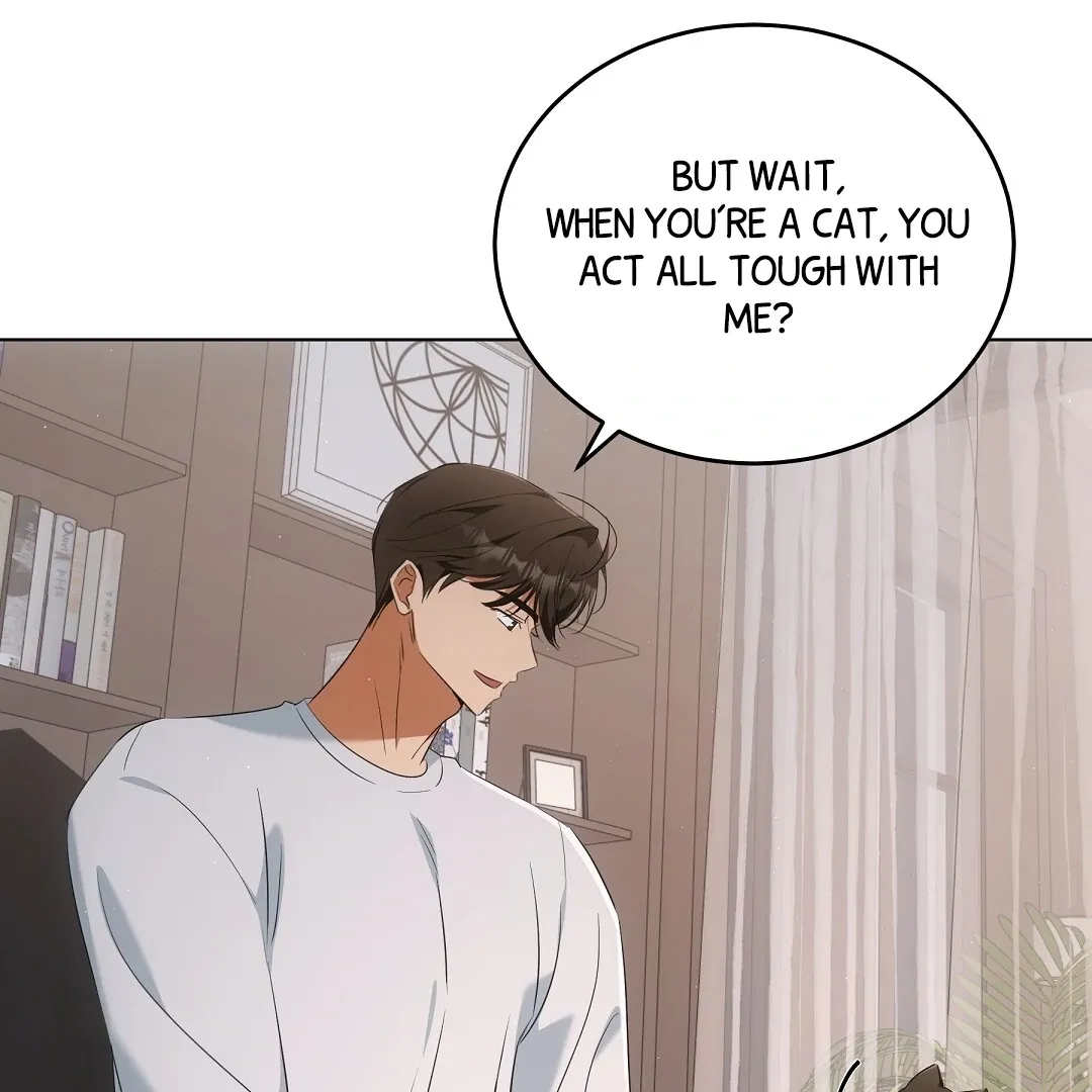 Cat Therapy Chapter 10 page 62 - 