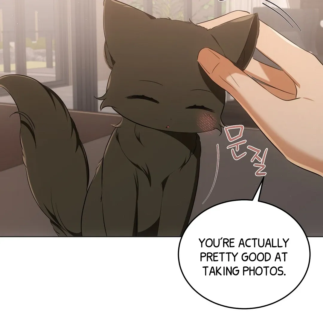 Cat Therapy Chapter 10 page 64 - 