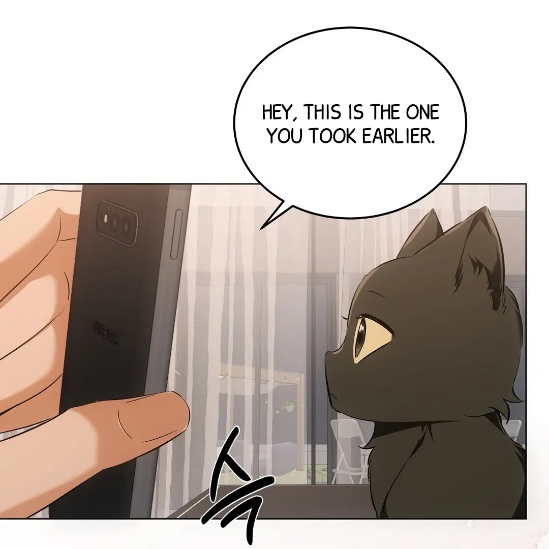 Cat Therapy Chapter 10 page 72 - 