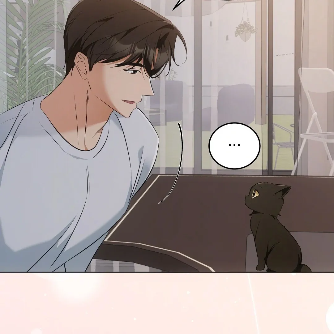 Cat Therapy Chapter 10 page 78 - 