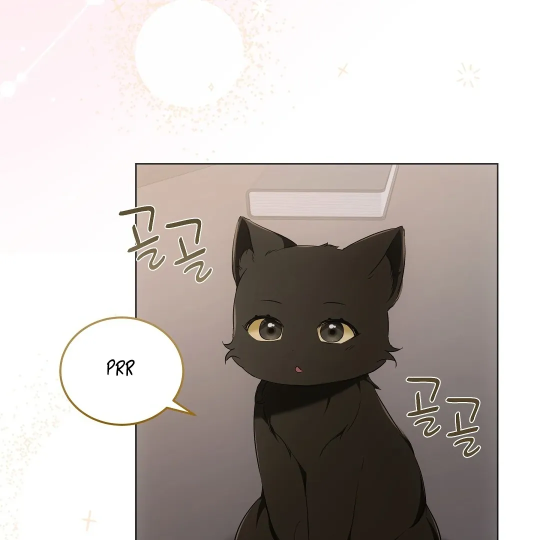 Cat Therapy Chapter 10 page 81 - 