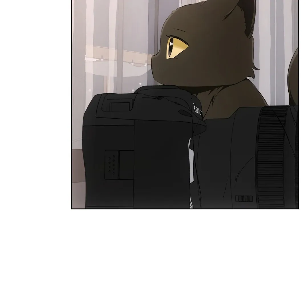 Cat Therapy Chapter 10 page 88 - 
