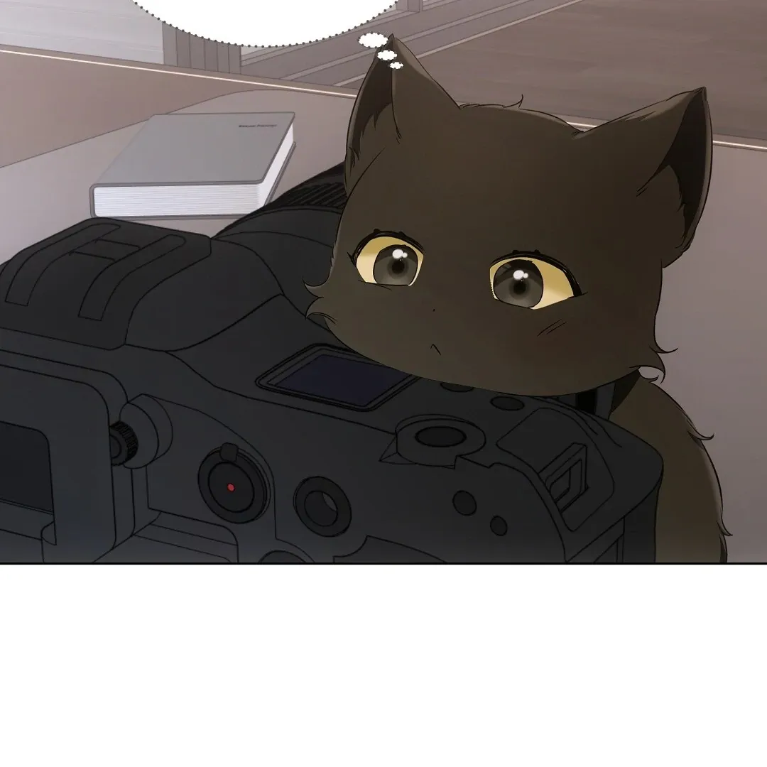 Cat Therapy Chapter 10 page 91 - 