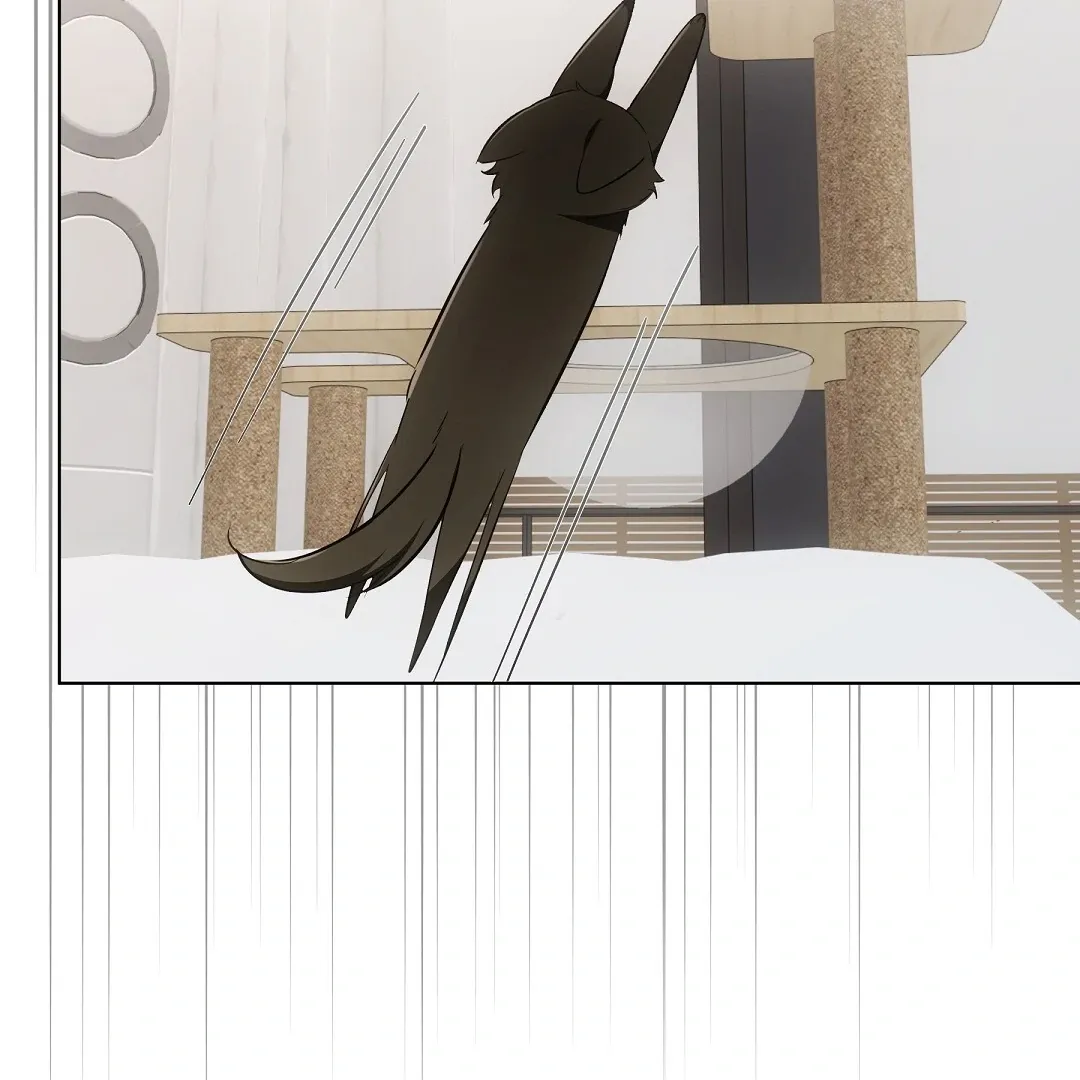 Cat Therapy Chapter 11 page 102 - 