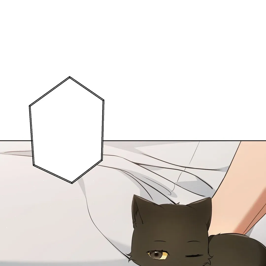 Cat Therapy Chapter 11 page 16 - 
