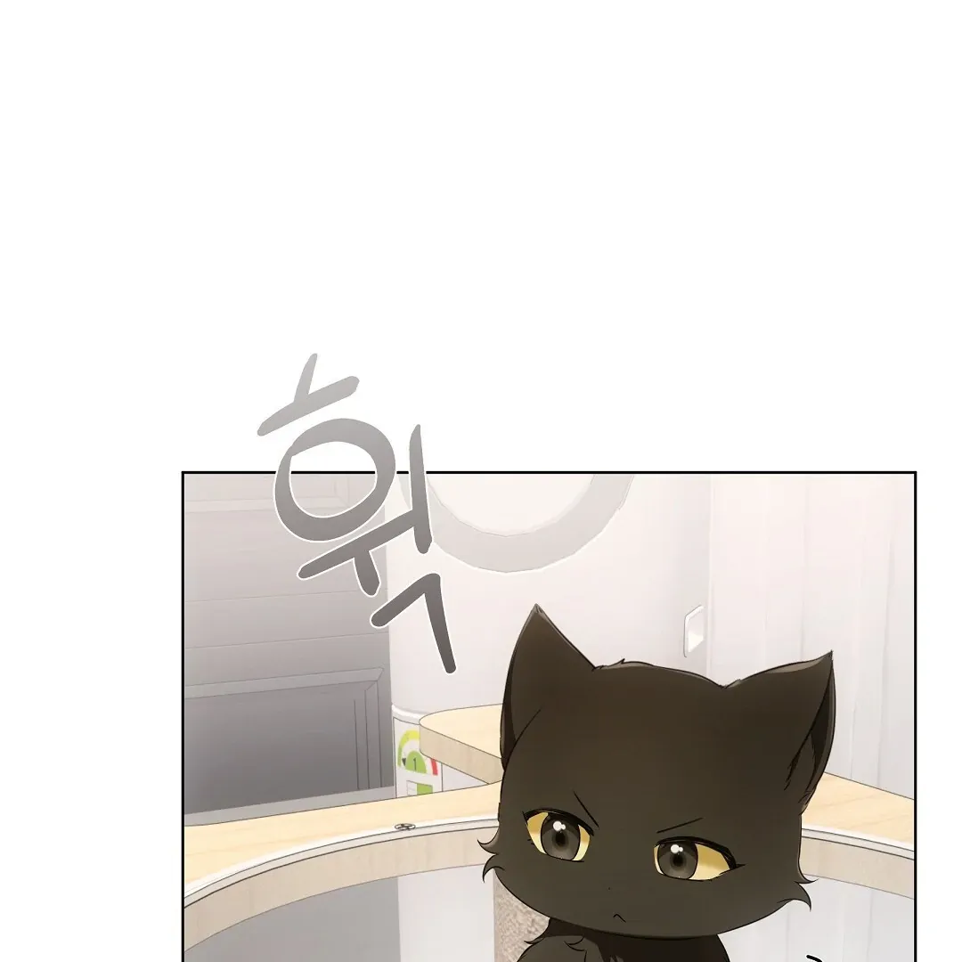 Cat Therapy Chapter 11 page 5 - 