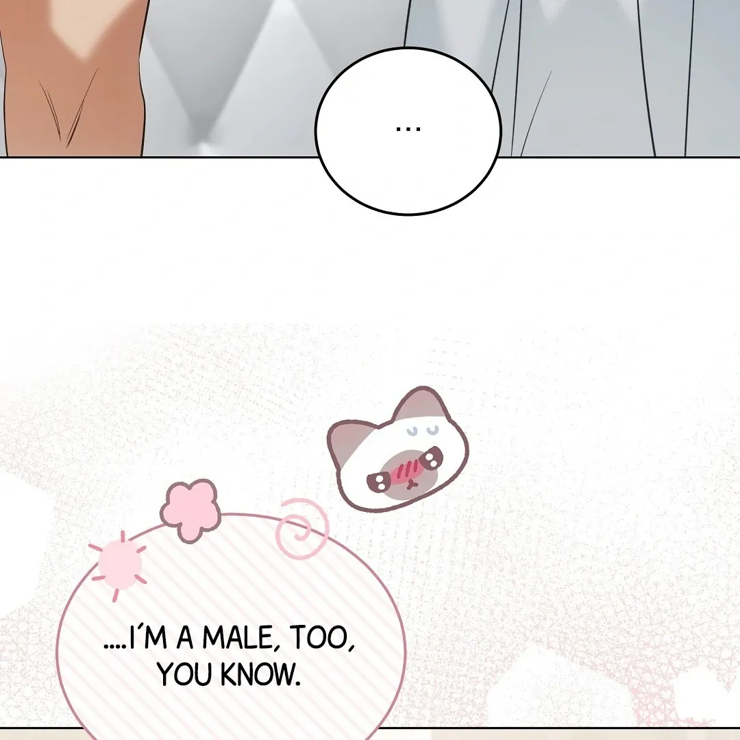 Cat Therapy Chapter 11 page 73 - 
