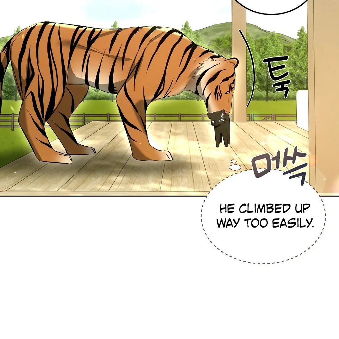 Cat Therapy Chapter 12 page 81 - 