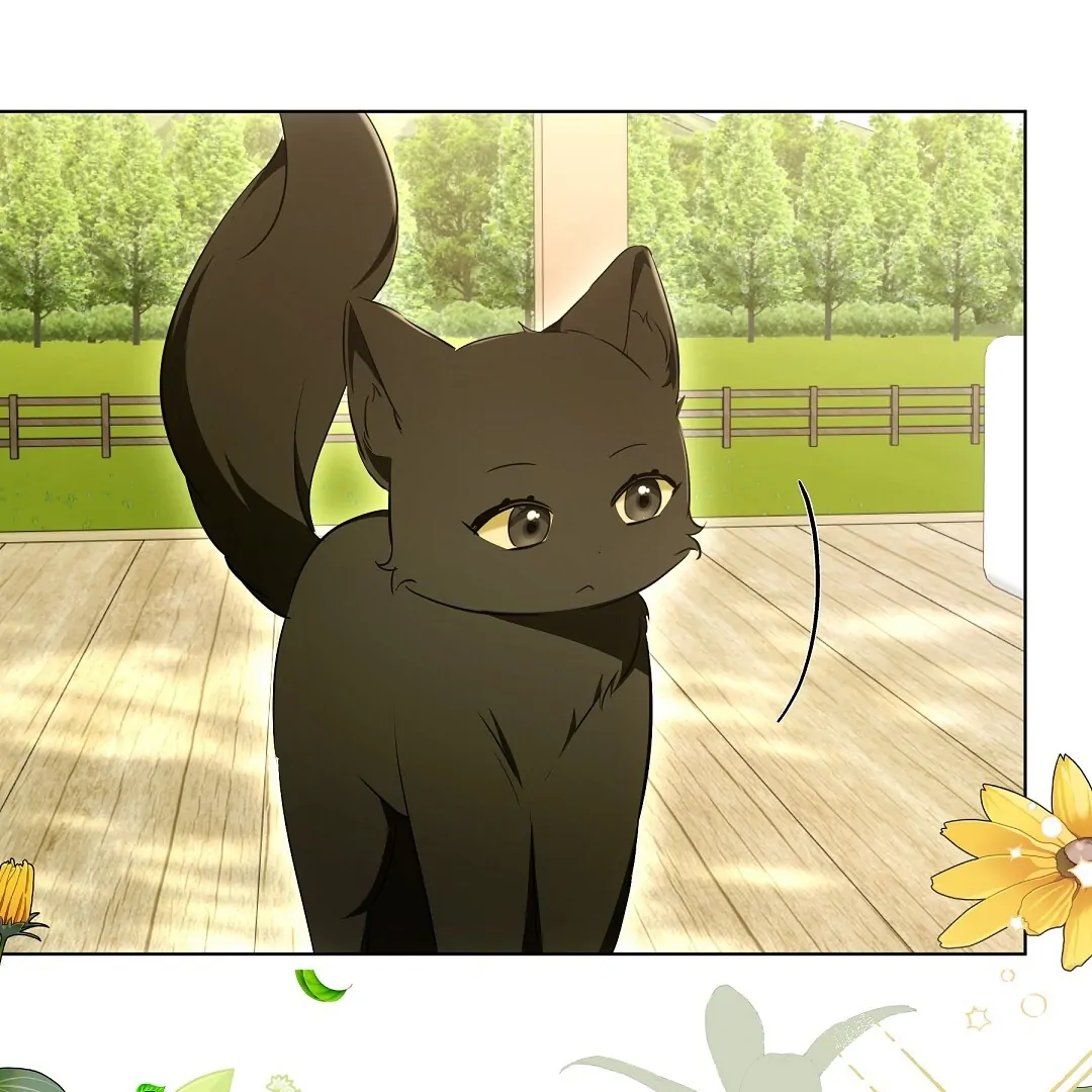 Cat Therapy Chapter 12 page 82 - 