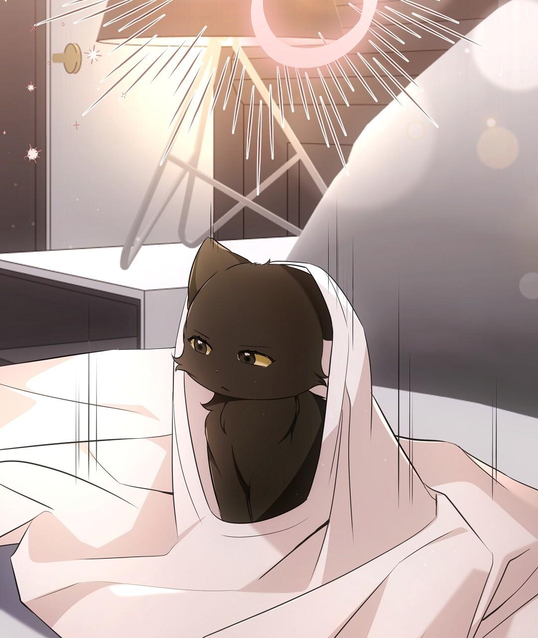 Cat Therapy Chapter 18 page 64 - 