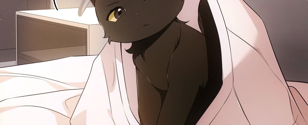Cat Therapy Chapter 18 page 66 - 