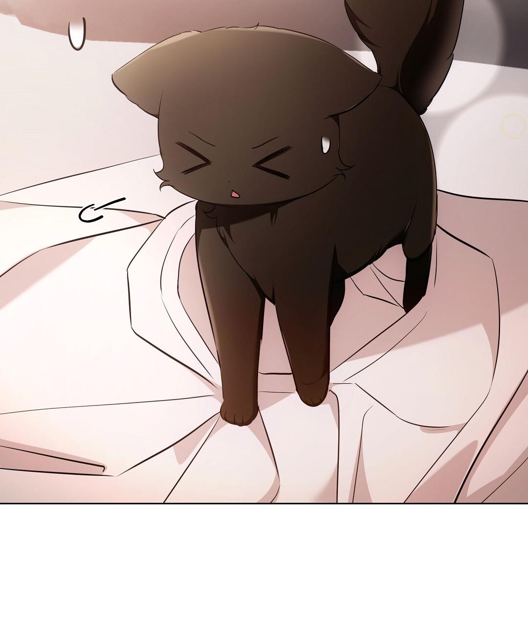 Cat Therapy Chapter 18 page 68 - 