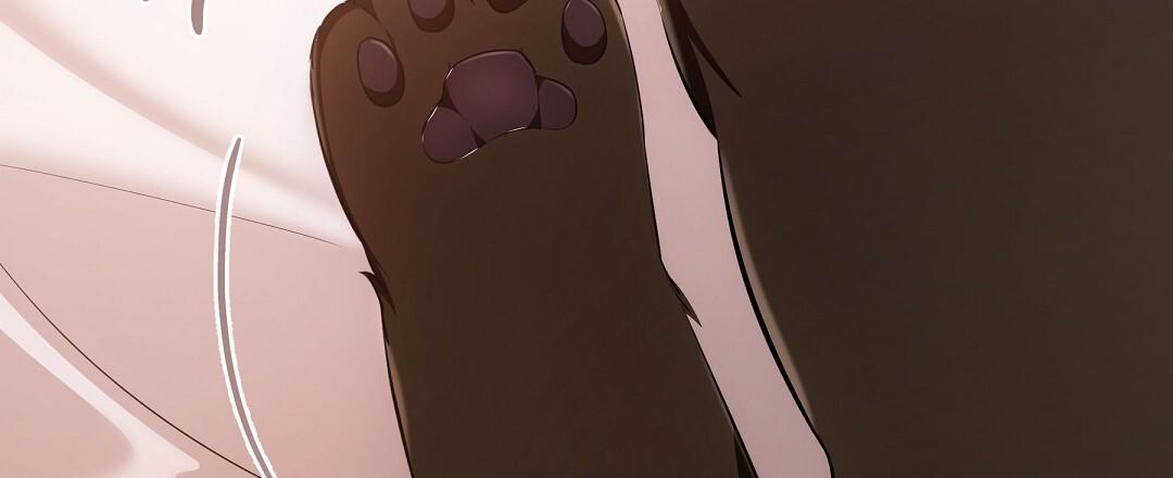 Cat Therapy Chapter 18 page 71 - 
