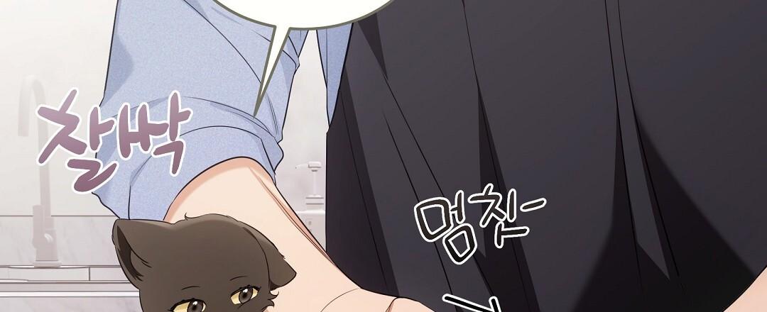 Cat Therapy Chapter 19 page 14 - 