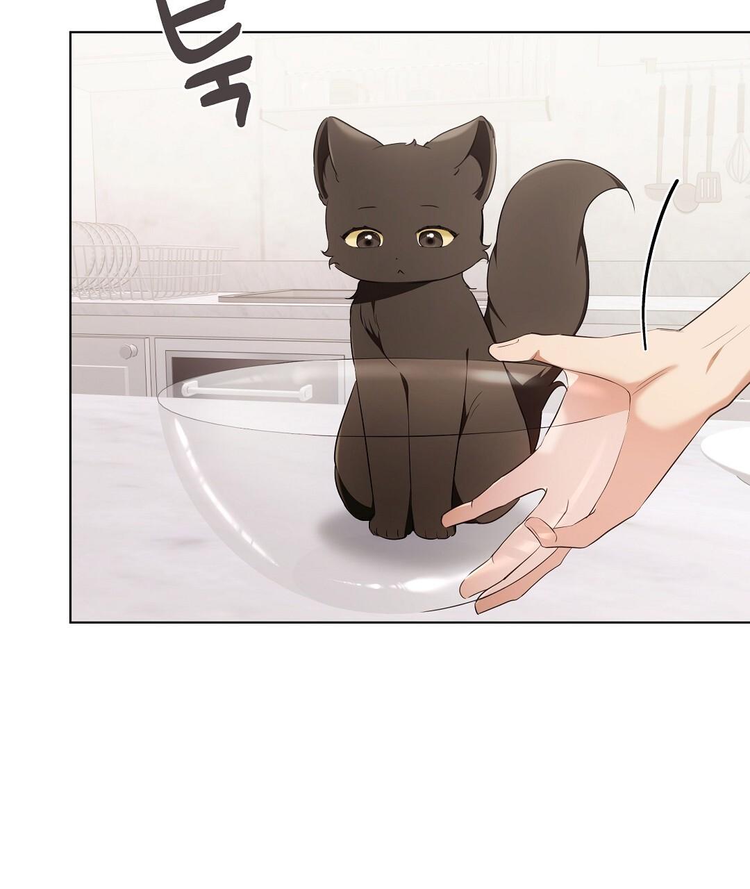 Cat Therapy Chapter 19 page 18 - 