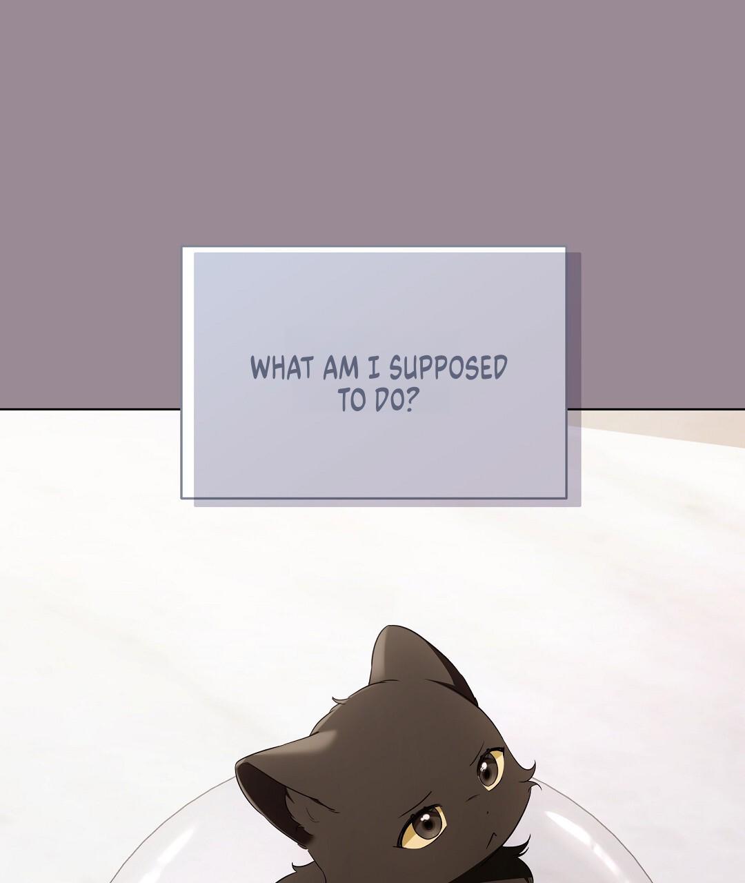 Cat Therapy Chapter 19 page 25 - 
