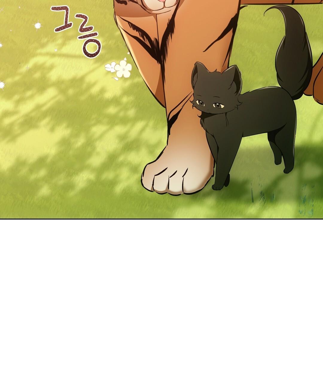 Cat Therapy Chapter 19 page 61 - 