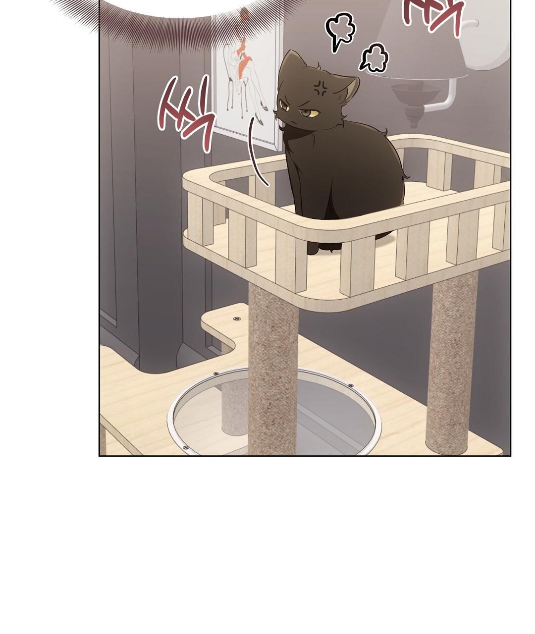 Cat Therapy Chapter 21 page 48 - 