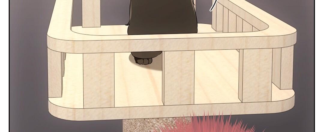 Cat Therapy Chapter 21 page 62 - 