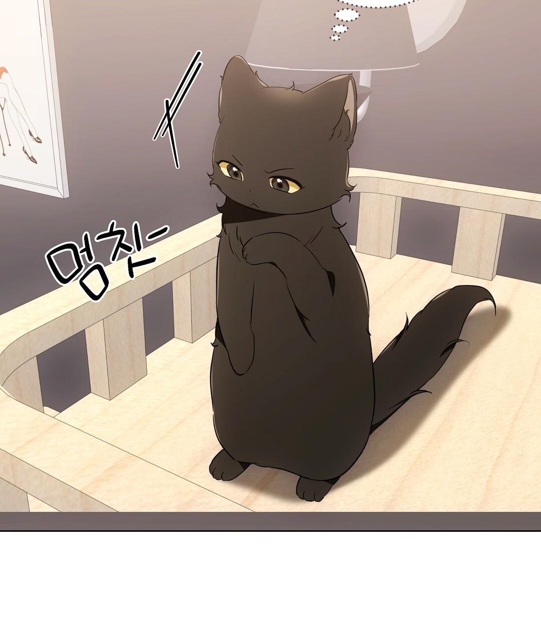 Cat Therapy Chapter 21 page 66 - 