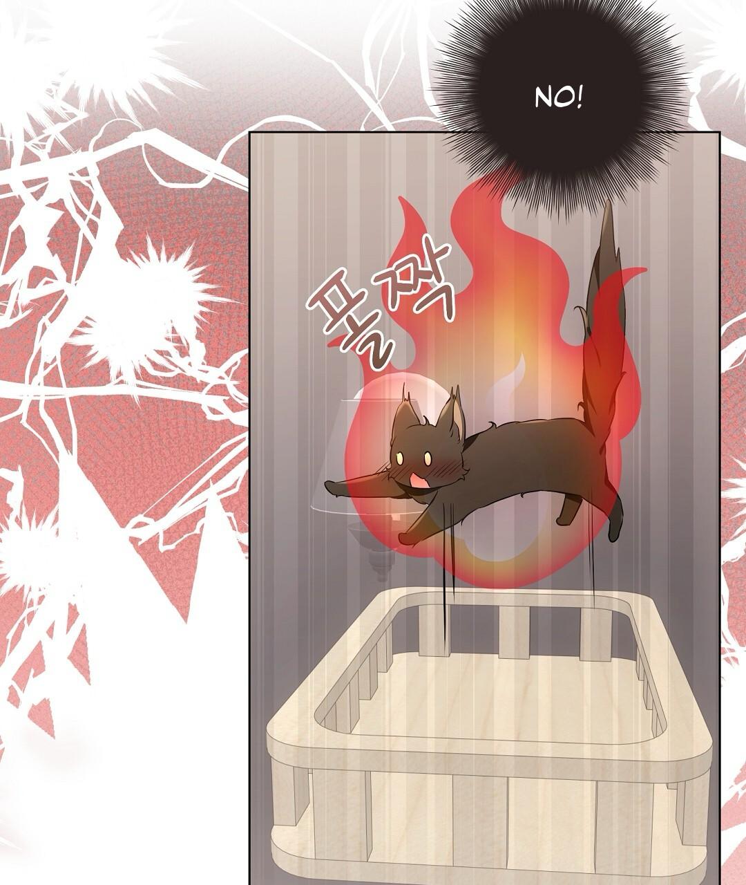 Cat Therapy Chapter 21 page 71 - 