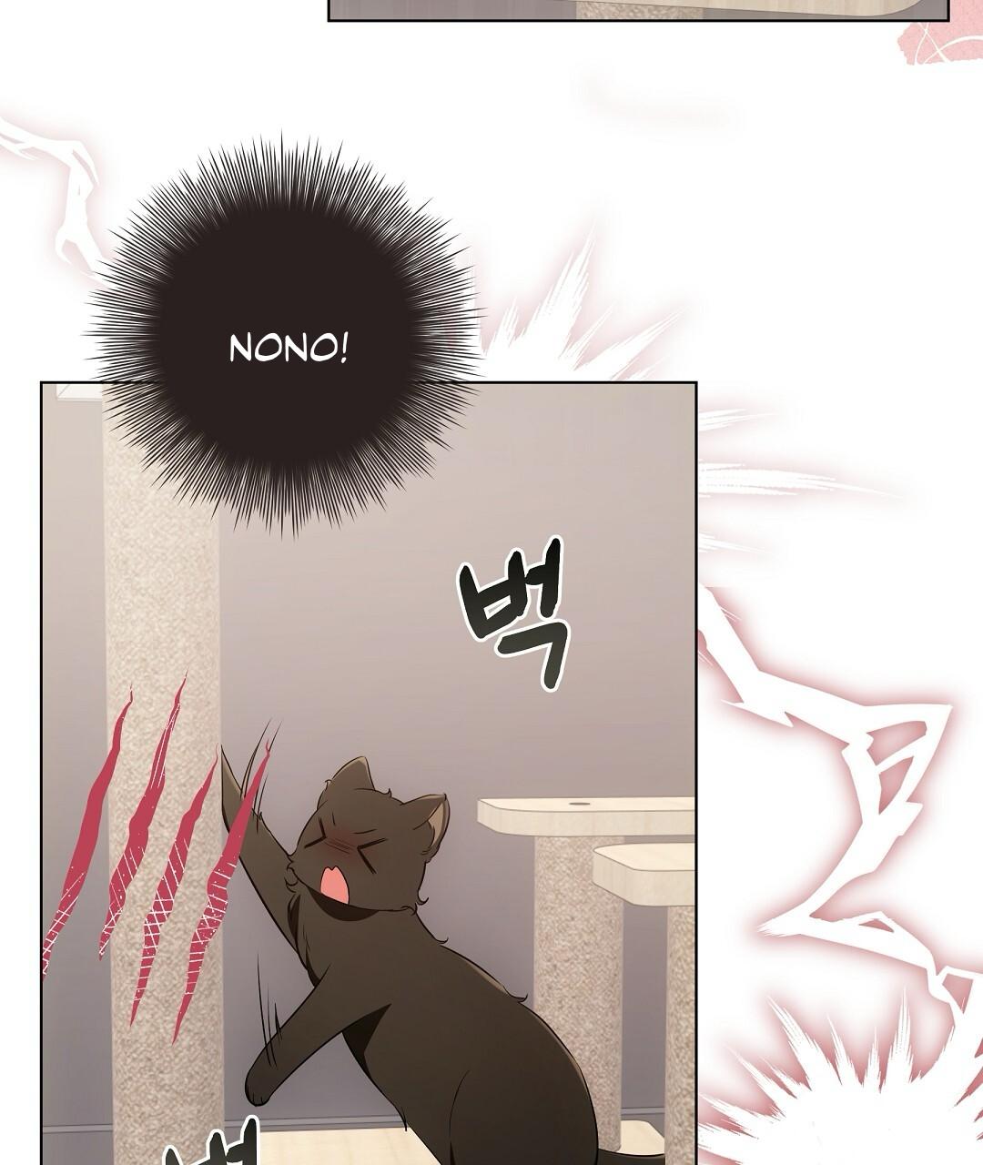 Cat Therapy Chapter 21 page 72 - 