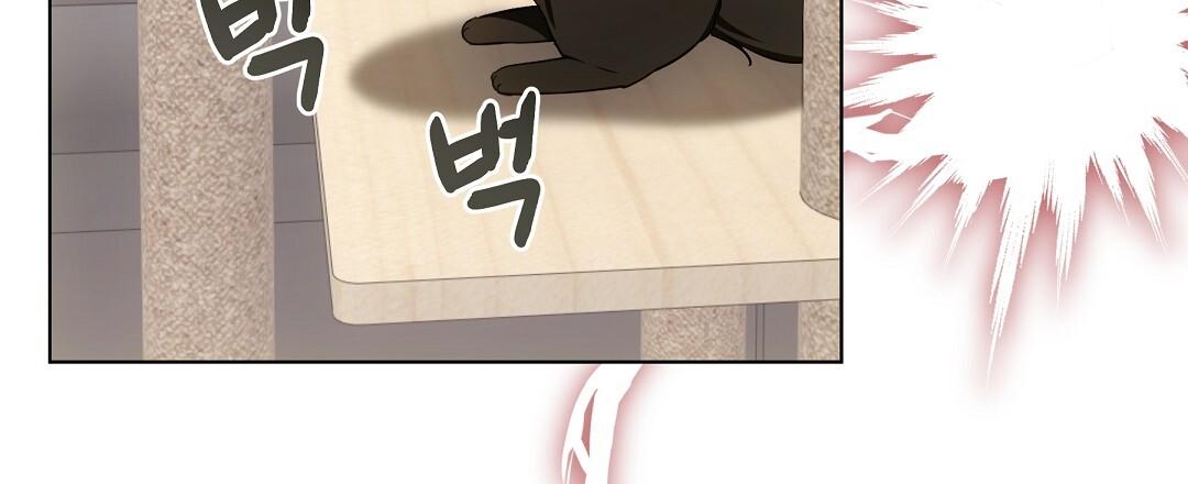 Cat Therapy Chapter 21 page 73 - 