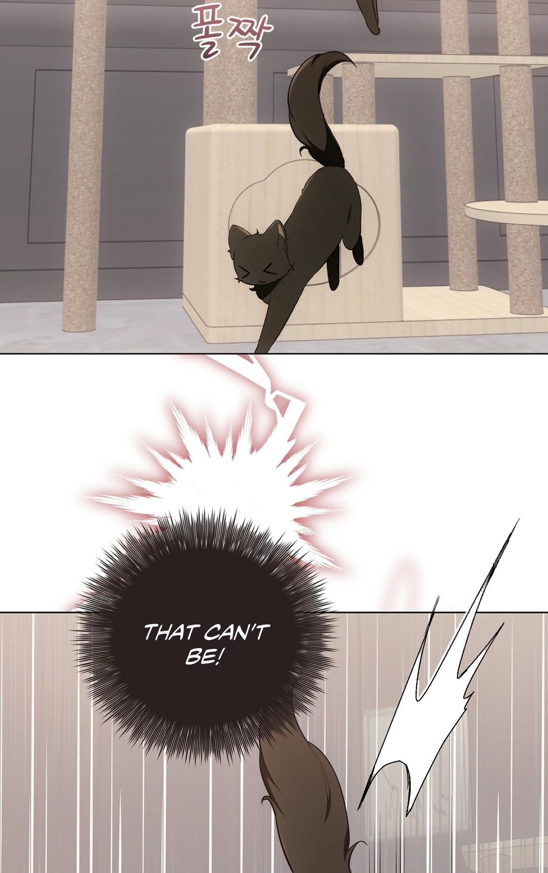 Cat Therapy Chapter 21 page 75 - 